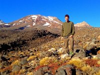 an alpine meadow on Ruapehu
